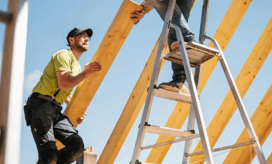 Vérification et traitement de la charpente