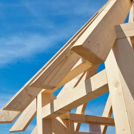 traitement du bois curatif à nîmes